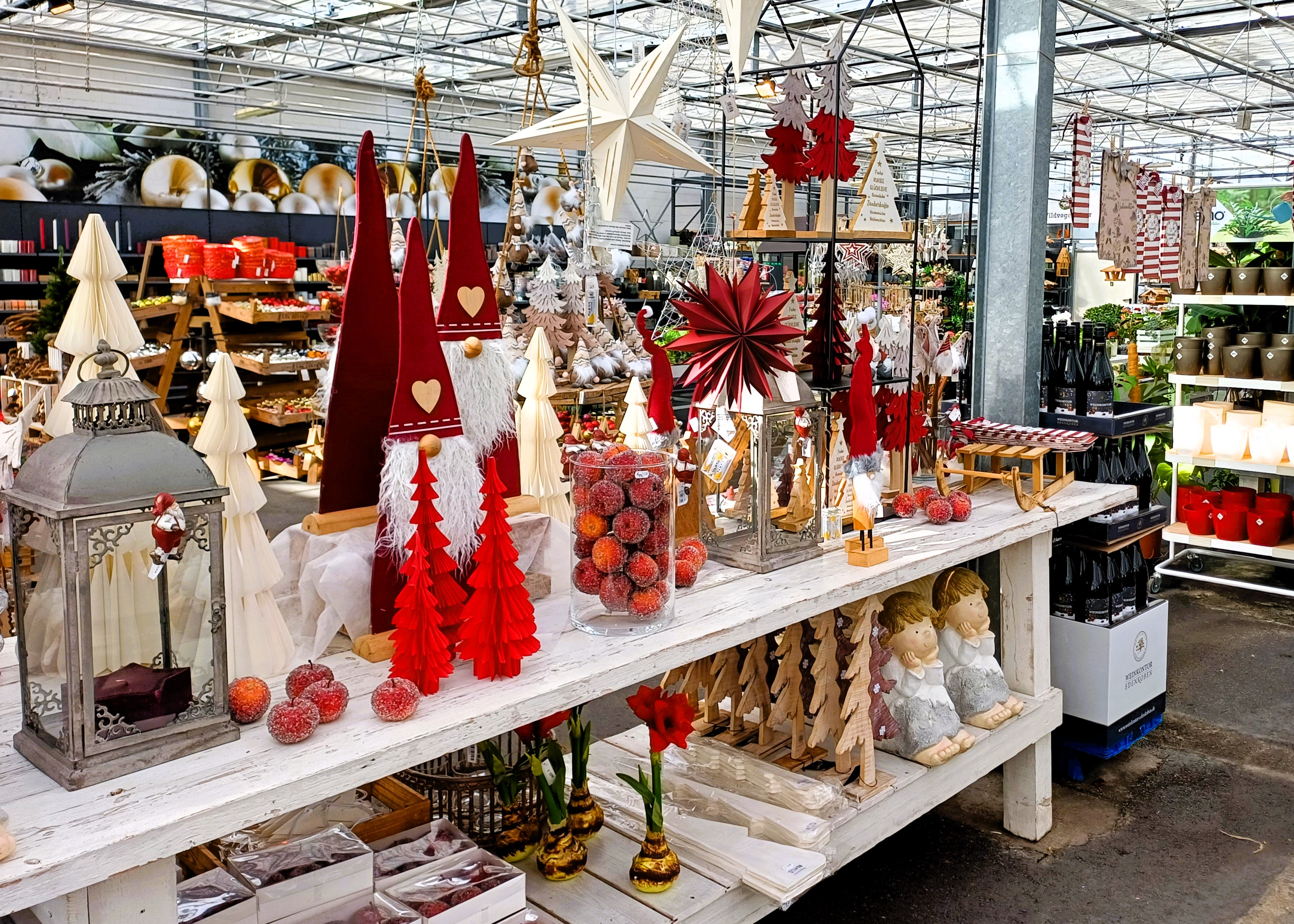 Monheimer Blumenmarkt Adventsausstellung 2024